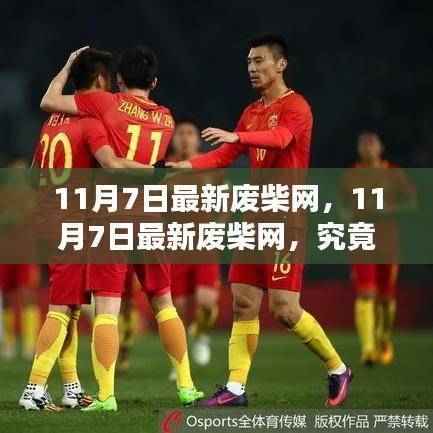 揭秘，11月7日最新废柴网真面目！