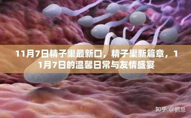 11月7日精子巢新篇章,温馨日常与友情盛宴的见证