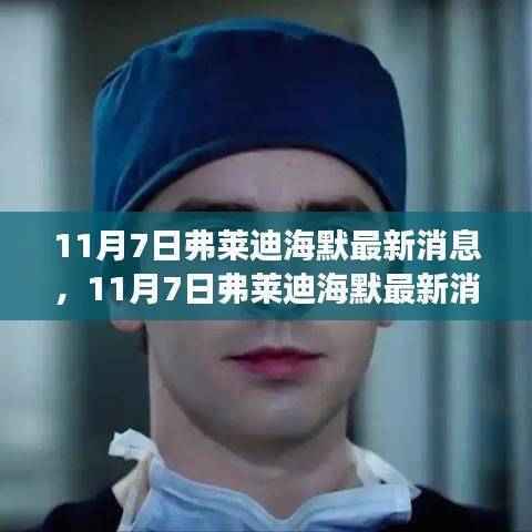 11月7日弗莱迪海默最新消息速递,轻松获取与解读相关资讯的步骤指南