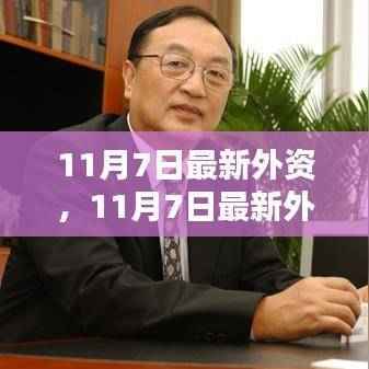 11月7日外资流入最新动态,机遇与挑战并存