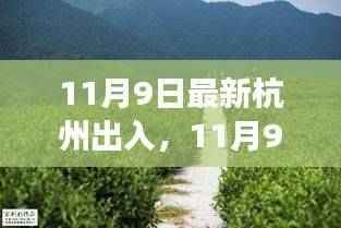 11月9日杭州之行,探寻自然足迹,拥抱内心宁静
