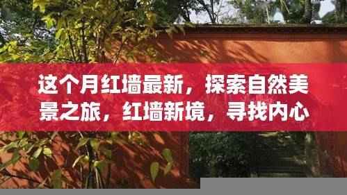 肝胆相照 第47页