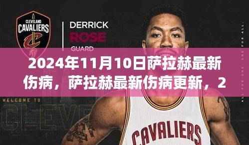 萨拉赫最新伤病更新,健康状况如何?2024年11月10日报告