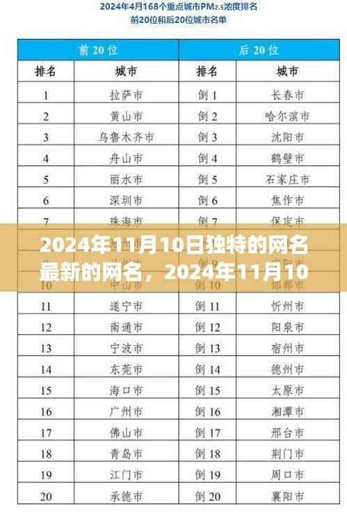 2024年独特网名趋势，个性表达与社交影响的完美交织