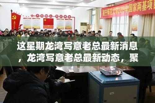 龙湾写意老总最新动态揭秘，本周热点与行业影响力聚焦