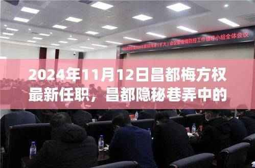 梅方权新职务揭秘,昌都隐秘巷弄美食秘境与独特风味探索