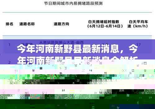 河南新野县最新动态解析,紧跟发展步伐的全面指南