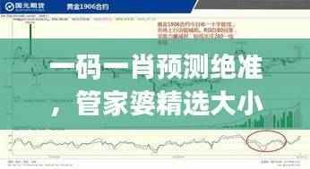 一码一肖预测绝准,管家婆精选大小中特,顶级解析定义_PUR946.75独版