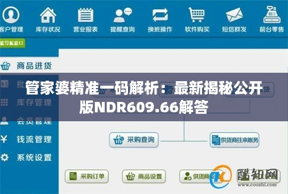 管家婆精准一码解析:最新揭秘公开版NDR609.66解答