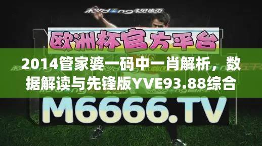 2014管家婆一码中一肖解析,数据解读与先锋版YVE93.88综合分析
