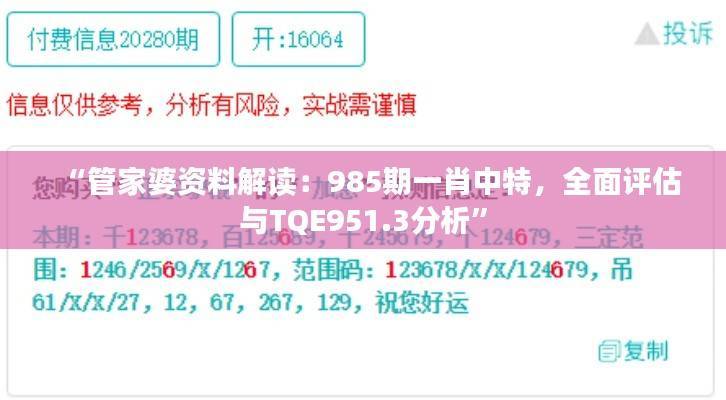 “管家婆资料解读:985期一肖中特,全面评估与TQE951.3分析”