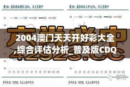 2004澳门天天开好彩大全,综合评估分析_普及版CDQ333.13
