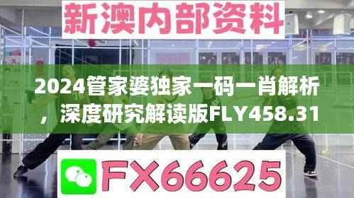 2024管家婆独家一码一肖解析，深度研究解读版FLY458.31
