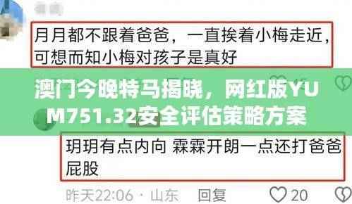 澳门今晚特马揭晓,网红版YUM751.32安全评估策略方案