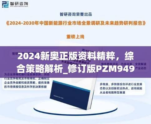 2024新奥正版资料精粹,综合策略解析_修订版PZM949.06