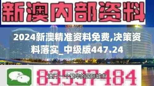 2024新澳精准资料免费,决策资料落实_中级版447.24