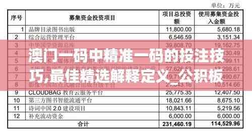澳门一码中精准一码的投注技巧,最佳精选解释定义_公积板CPN859.61