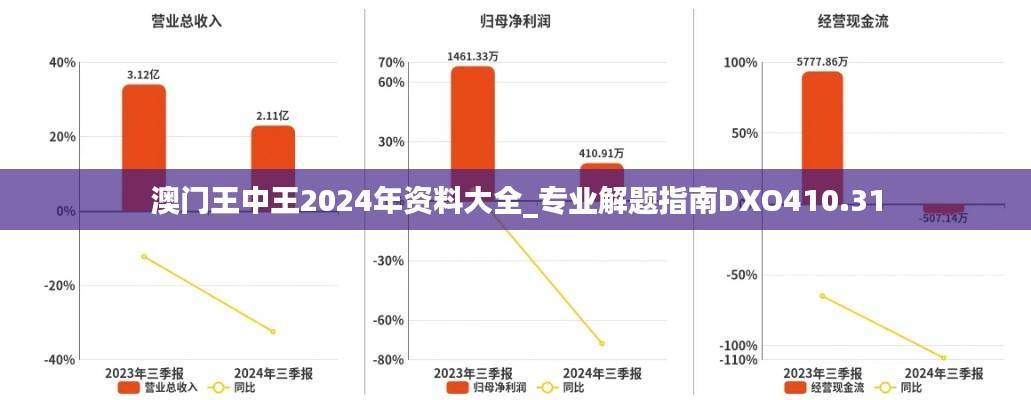 澳门王中王2024年资料大全_专业解题指南DXO410.31