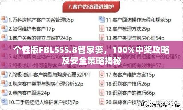 个性版FBL555.8管家婆,100%中奖攻略及安全策略揭秘