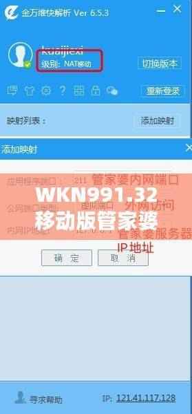 WKN991.32移动版管家婆必中一期,揭秘正品解析定义