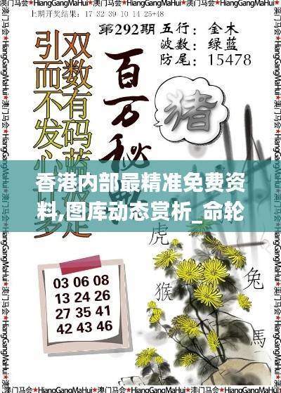 香港内部最精准免费资料,图库动态赏析_命轮境WIZ46.13
