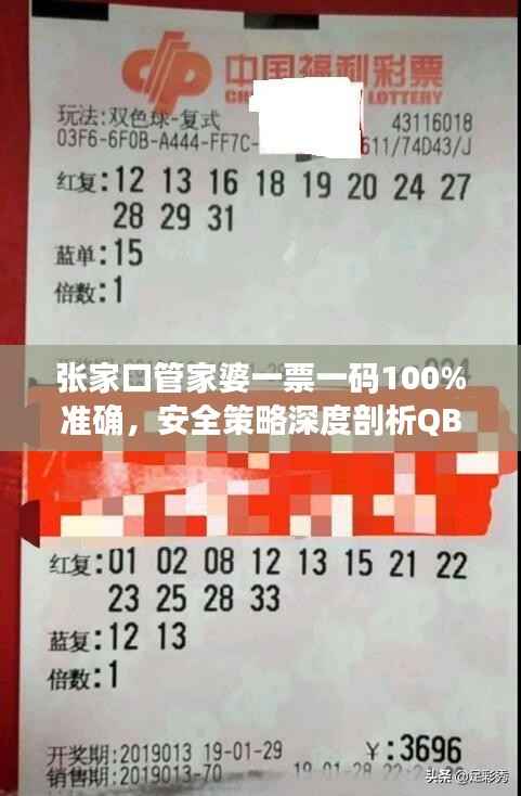 张家口管家婆一票一码100%准确,安全策略深度剖析QBZ947.23连续版