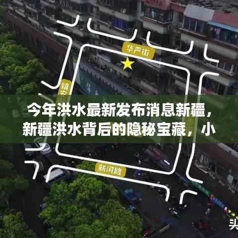 新疆洪水背后的隐秘宝藏与独特小巷之旅最新消息