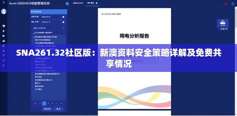 SNA261.32社区版:新澳资料安全策略详解及免费共享情况