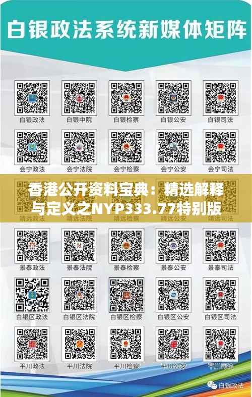 香港公开资料宝典：精选解释与定义之NYP333.77特别版