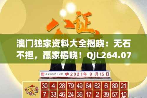 澳门独家资料大全揭晓：无石不担，赢家揭晓！QJL264.07版个人版