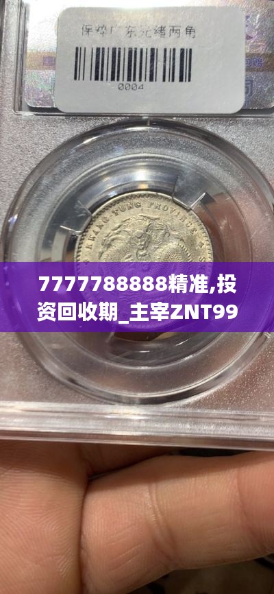 7777788888精准,投资回收期_主宰ZNT998.81