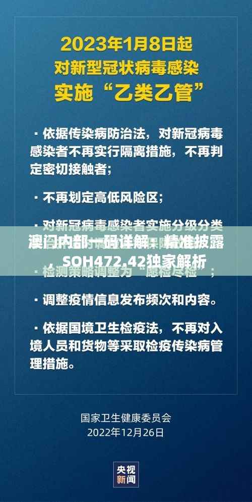 澳门内部一码详解:精准披露,SOH472.42独家解析