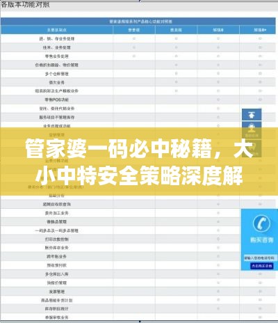 管家婆一码必中秘籍,大小中特安全策略深度解析——CQB817.84独版