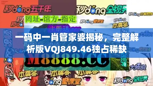 一码中一肖管家婆揭秘，完整解析版VQJ849.46独占稀缺