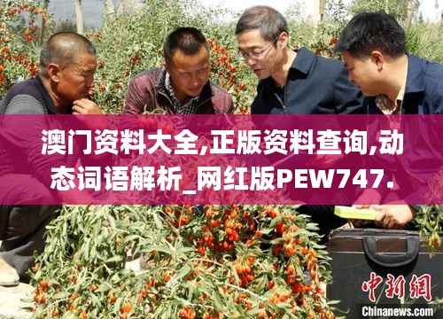澳门资料大全,正版资料查询,动态词语解析_网红版PEW747.85
