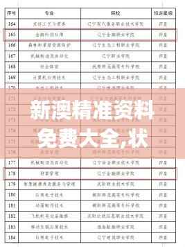 新澳精准资料免费大全,状况评估解析_星耀版730.98