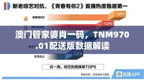 澳门管家婆肖一码,TNM970.01配送版数据解读