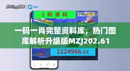 一码一肖完整资料库,热门图库解析升级版MZJ202.61