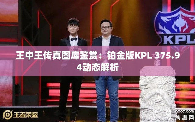 王中王传真图库鉴赏:铂金版KPL 375.94动态解析