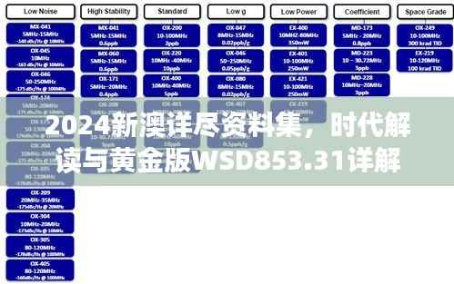 2024新澳详尽资料集,时代解读与黄金版WSD853.31详解