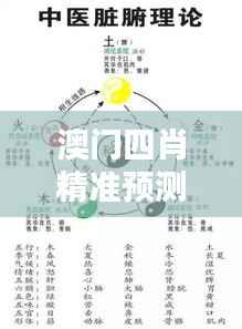 澳门四肖精准预测,安全策略深度解析——OTB674.32智慧版揭秘