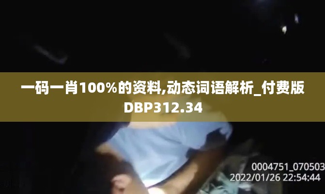 一码一肖100%的资料,动态词语解析_付费版DBP312.34