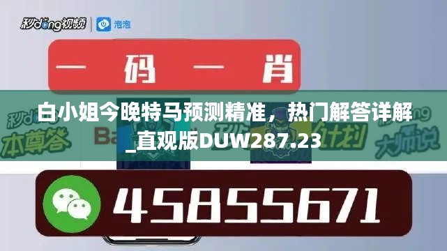 白小姐今晚特马预测精准,热门解答详解_直观版DUW287.23