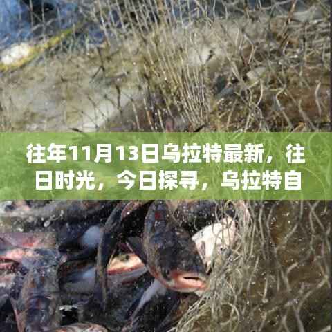 乌拉特自然美景之旅,往日时光与今日探寻的交汇点