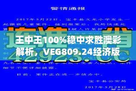 王中王100%稳中求胜澳彩解析，VEG809.24经济版深度解读