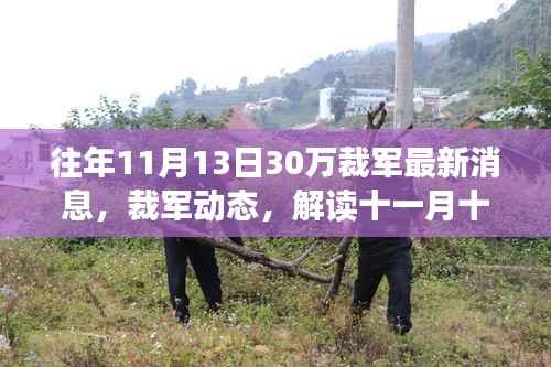 十一月十三日裁军三十万最新消息,动态与各方观点解读