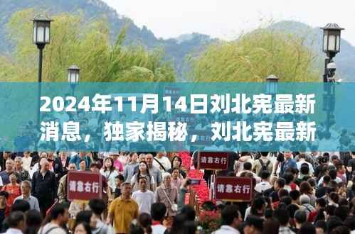 独家揭秘,刘北宪最新动态与深度解读——2024年11月14日最新消息
