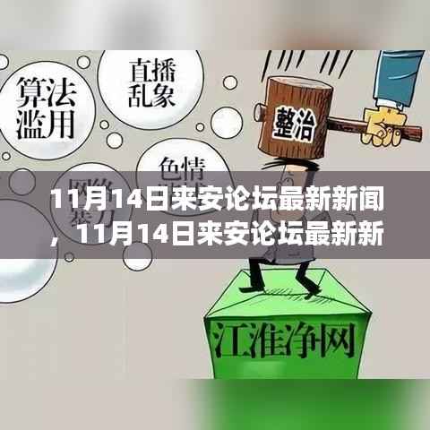 11月14日来安论坛热点新闻及深度观点剖析