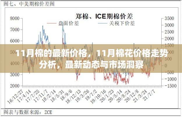 11月棉花价格走势分析,最新动态、市场洞察与价格预测