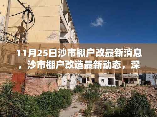 沙市棚户改造最新动态解析与观点阐述,11月25日深度报道